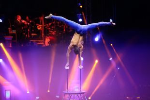 El Festival del Circ de Girona escalfa motors amb 20.000 entrades venudes a dos dies de l'estrena