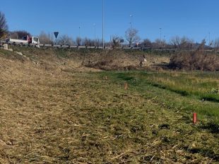 Comencen les obres del nou carril bici de Castelló d'Empúries