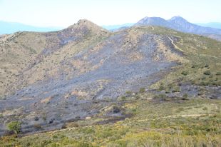 L'origen de l'incendi a Roses podria ser una crema controlada mal apagada