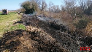 Un incendi crema 1.830 metres quadrats de vegetació a Jafre