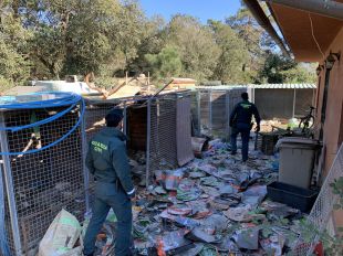 Detinguda per maltractar divuit gossos i deixar-ne morir dotze més a Lloret de Mar