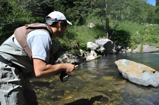 Comença la temporada de pesca continental amb la prohibició del plom com a novetat