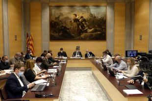 La Diputació reclama a l'Estat paralitzar i derogar immediatament el ramal de la MAT de Riudarenes