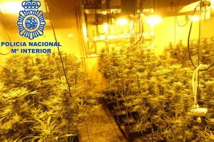 Desmantellen un cultiu de marihuana en una casa ocupada de Caldes amb 500 plantes i diverses armes