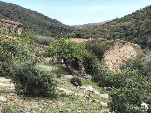 El TN Comarques analitza demà la despoblació en indrets com el Pla de l'Estany, el Ripollès, la Selva o la Garrotxa