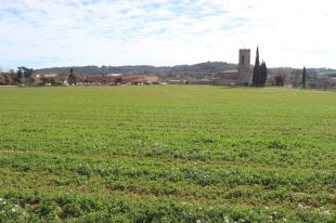 La Diputació participa en un projecte europeu per adaptar l’agricultura i la gestió forestal al canvi climàtic