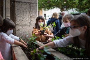 El Mercat de les Herbes de Santa Coloma de Farners torna amb una cinquantena d'activitats