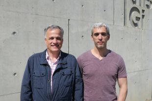Un estudi de l'IDIBGI confirma la relació d'un aminoàcid present en molts aliments amb la depressió