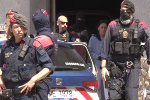 Llibertat sense fiança pels set detinguts en l'operació contra el tràfic de marihuana a Girona