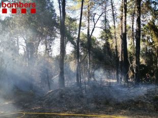 Un incendi crema els marges de la C-66 a Celrà