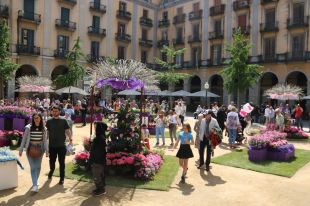 Guanyem Girona proposa un Temps de Flors amb concerts i activitats als barris
