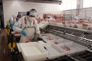 Les exportacions gironines creixen un 16% a l'abril i marquen un nou rècord