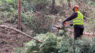 El Govern invertirà 8 MEUR en quatre anys en treballs de prevenció d'incendis a Lleida i l'Alt Pirineu