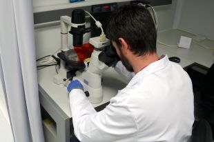 Confirmats 4 casos de verola del mico a Catalunya