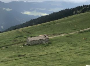 Uns excursionistes troben el cadàver d'un home prop de Setcases