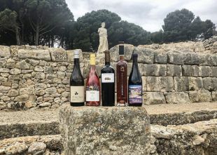 Desvetllen els vins guardonats als Premis Arrels del Vi 2022
