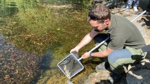 Introdueixen 50.000 truites a l'estany de Puigcerdà per millorar la biodiversitat d'aquest entorn
