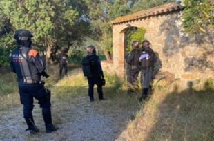 Dos detinguts responsables d'un cultiu amb 646 plantes de marihuana en una casa d'Agullana