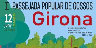 Girona acollirà una passejada popular de gossos aquest diumenge