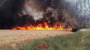 Controlat l'incendi agrícola de Celrà que ha afectat 14 hectàrees de camps