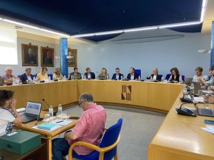 Olot aprova estudiar la viabilitat de la línia de tren Olot - Banyoles - Girona