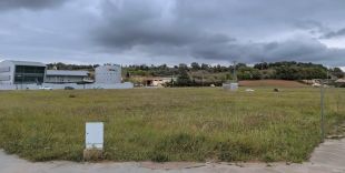 Banyoles obre un procés participatiu per definir el nou parc de gossos