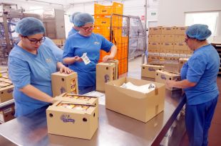 La Fundació la Fageda compleix 40 anys amb 92 milions de iogurts i postres a l'esquena