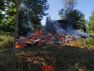 Un incendi crema una zona boscosa i una barraca a Bordils