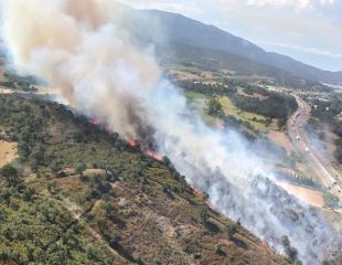 Un incendi originat en un autobús avariat crema una zona boscosa prop de l'AP-7 a la Jonquera