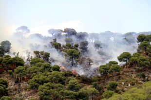Acció Climàtica posa en alerta cinc comarques gironines per risc d'incendi fins dimarts
