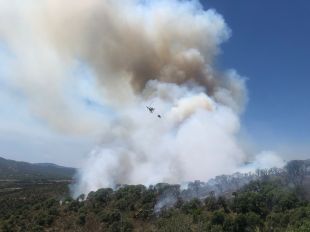 L'incendi a Castell d'Aro s'ha originat durant la neteja d'una franja perimetral de bosc