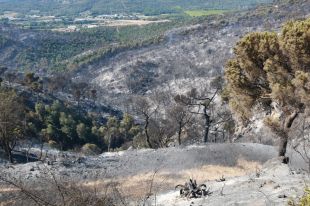 Els Bombers donen per extingit l'incendi de Castell d'Aro iniciat divendres passat