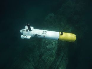 Investigadors de la UdG participen en un projecte per monitoritzar els ecosistemes marins