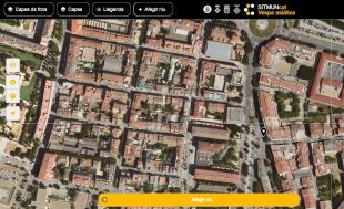 Una app permet als ciutadans informar sobre els nius de vespa asiàtica
