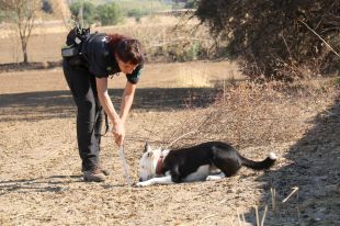 Així investiguen els Agents Rurals l'origen d'un incendi