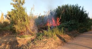 Detinguts dos joves acusats de provocar dos incendis forestals a Palafrugell