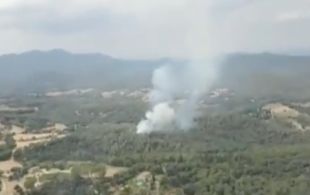Nou dotacions dels Bombers treballen en un incendi agrícola a Sant Gregori