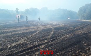 Tretze dotacions dels Bombers treballen en un incendi a Palol d'Onyar