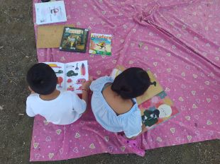 Més de 2.500 usuaris ja han fet ús del Biblioestiu a places i piscines de Girona