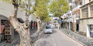 Tira una burilla per la finestra i crema un arbre a Cadaqués