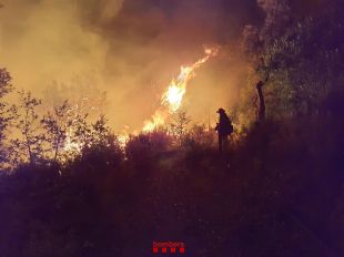 Els Bombers aconsegueixen estabilitzar la revifalla de l'incendi forestal de les Gavarres