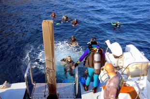 Els centres de submarinisme de l'Estartit demanen poder fer més immersions a les illes Medes