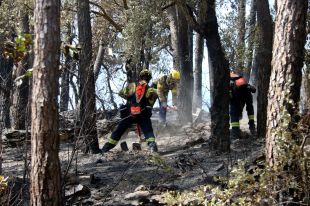 Controlat l'incendi de les Gavarres que va començar ahir a la tarda