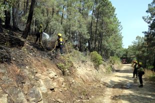 Els Bombers donen per extingit l'incendi forestal de les Gavarres