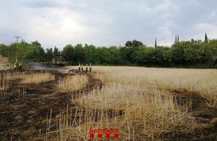 Un incendi crema 2.500 metres quadrats de vegetació agrícola a Santa Coloma de Farners