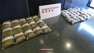 Cinc detinguts, un d'ells menor, per transportar 17 kg de cabdells marihuana a Ripoll
