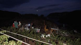 Un hotel de Roses fa la verema de nit per evitar exposar els recol·lectors a la calor
