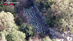 Dos detinguts per tenir un cultiu amb unes 1.000 plantes de marihuana al pantà de Susqueda