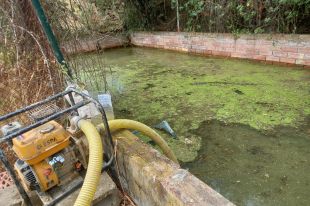 Detingut per matar una gossa a Sant Feliu llençant-la en una bassa lligant-li un bloc de formigó al coll