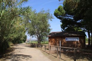 La Generalitat obliga Pals a tramitar de nou el projecte del vial Nord pel seu impacte ambiental